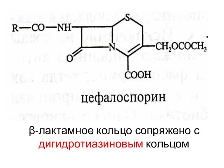 β-лактамное кольцо сопряжено с дигидротиазиновым кольцом