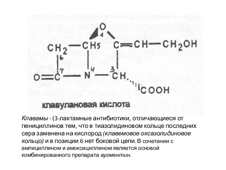Клавамы - (3-лактамные антибиотики, отличающиеся от пенициллинов тем, что в тиазолидиновом