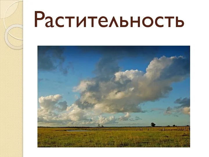 Растительность