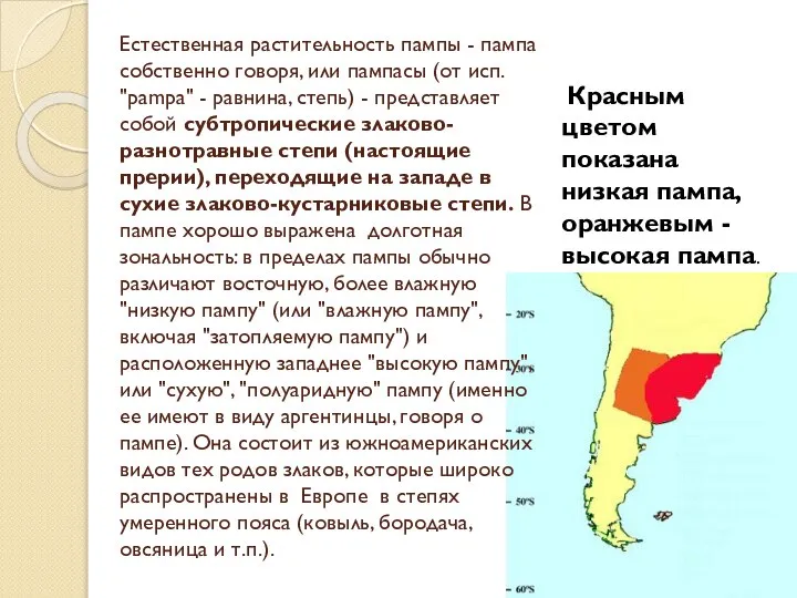 Естественная растительность пампы - пампа собственно говоря, или пампасы (от исп.