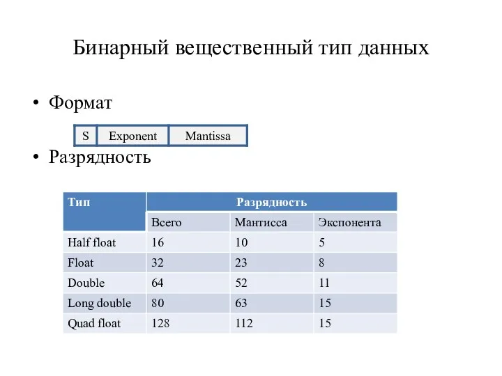 Бинарный вещественный тип данных Формат Разрядность