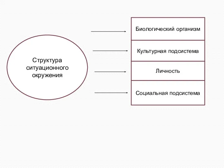 Структура ситуационного окружения Биологический организм Культурная подсистема Личность Социальная подсистема