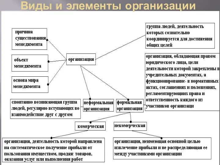 Виды и элементы организации