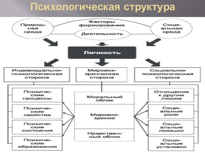 Психологическая структура личности