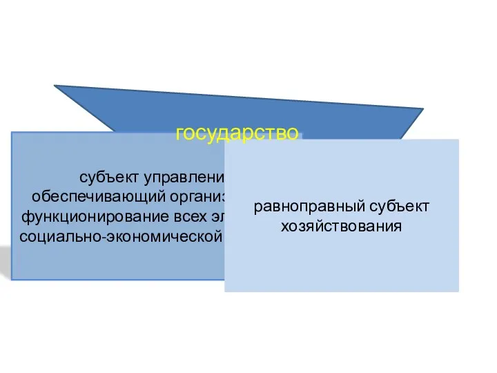 субъект управления, обеспечивающий организацию и функционирование всех элементов социально-экономической системы. равноправный субъект хозяйствования государство