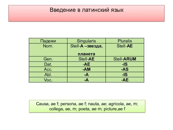 Введение в латинский язык Causa, ae f; persona, ae f; nauta,