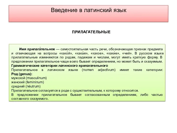 Введение в латинский язык Имя прилага́тельное — самостоятельная часть речи, обозначающая