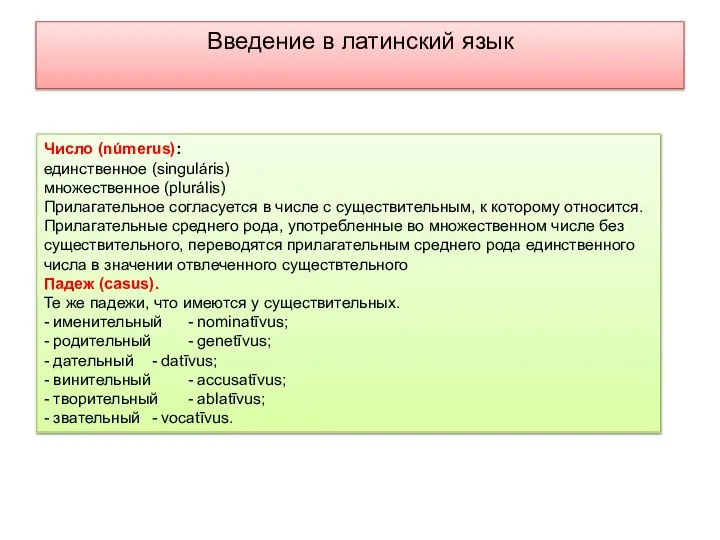 Введение в латинский язык Число (númerus): единственное (singuláris) множественное (plurális) Прилагательное