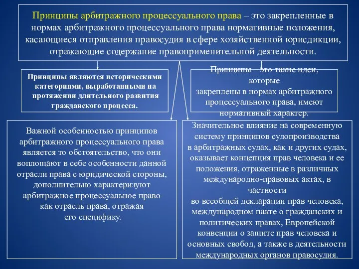 Принципы арбитражного процессуального права – это закрепленные в нормах арбитражного процессуального