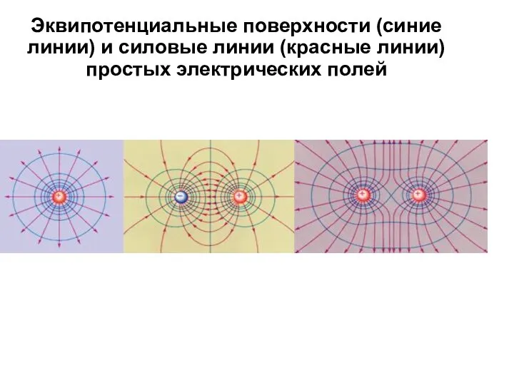 Эквипотенциальные поверхности (синие линии) и силовые линии (красные линии) простых электрических полей