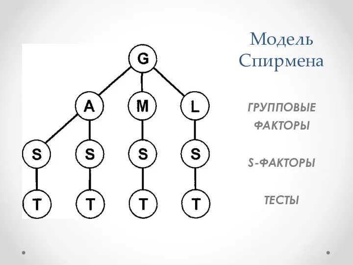 Модель Спирмена ГРУППОВЫЕ ФАКТОРЫ S-ФАКТОРЫ ТЕСТЫ