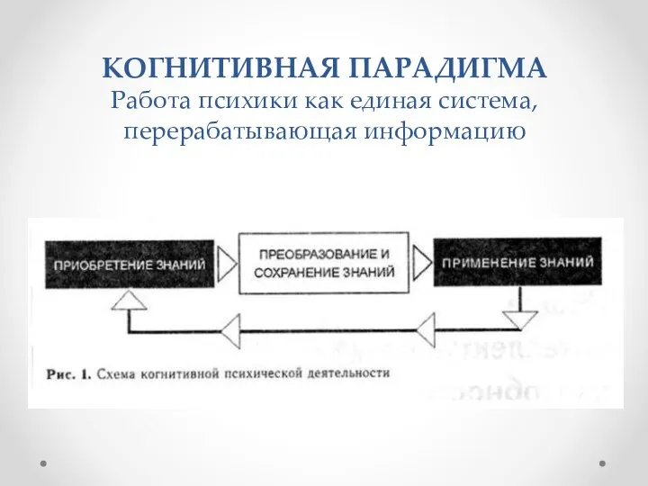 КОГНИТИВНАЯ ПАРАДИГМА Работа психики как единая система, перерабатывающая информацию