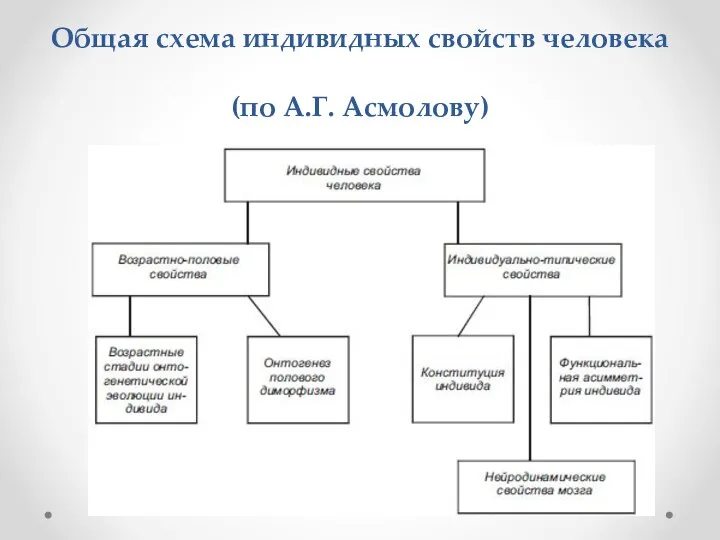 Общая схема индивидных свойств человека (по А.Г. Асмолову)