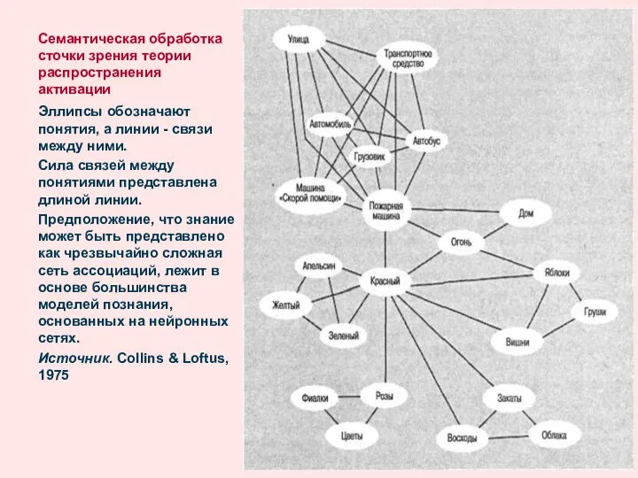Семантическая обработка сточки зрения теории распространения активации Эллипсы обозначают понятия, а
