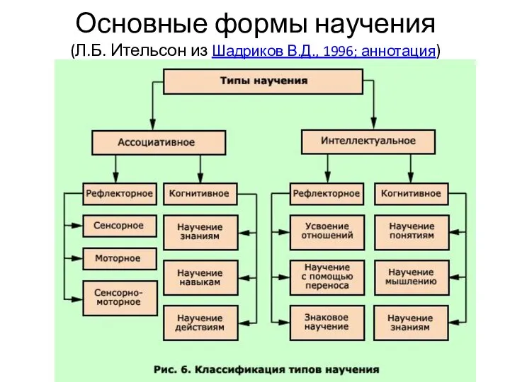 Основные формы научения (Л.Б. Ительсон из Шадриков В.Д., 1996; аннотация)