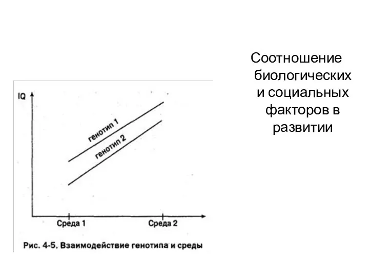 Соотношение биологических и социальных факторов в развитии