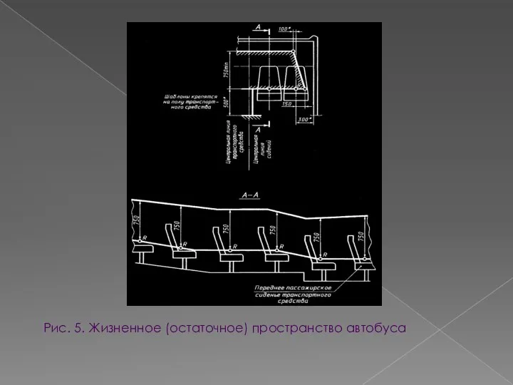 Рис. 5. Жизненное (остаточное) пространство автобуса