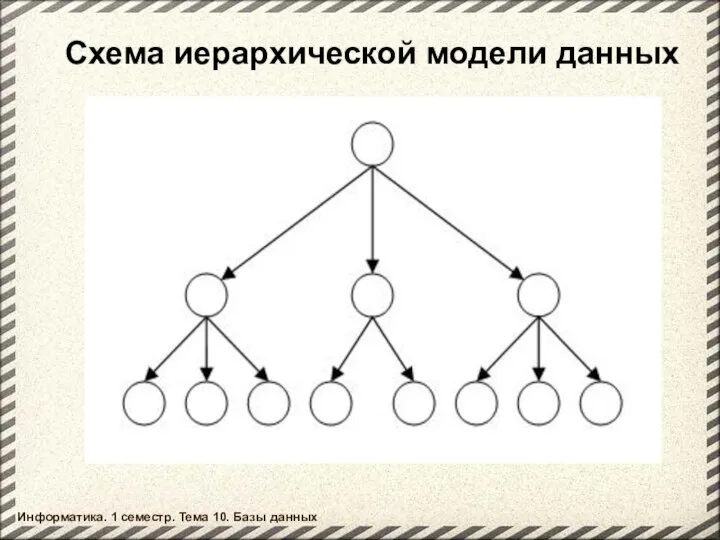 Схема иерархической модели данных Информатика. 1 семестр. Тема 10. Базы данных