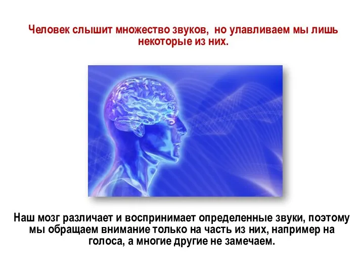 Человек слышит множество звуков, но улавливаем мы лишь некоторые из них.