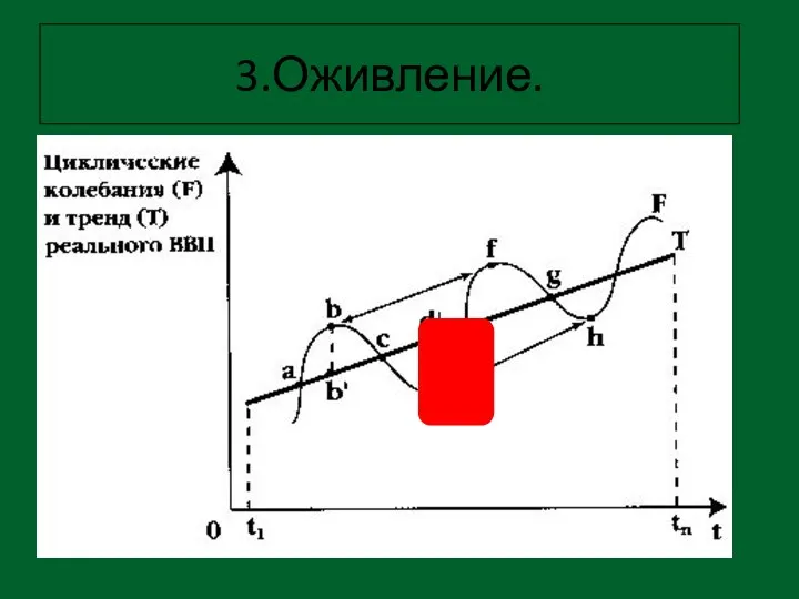 3.Оживление.