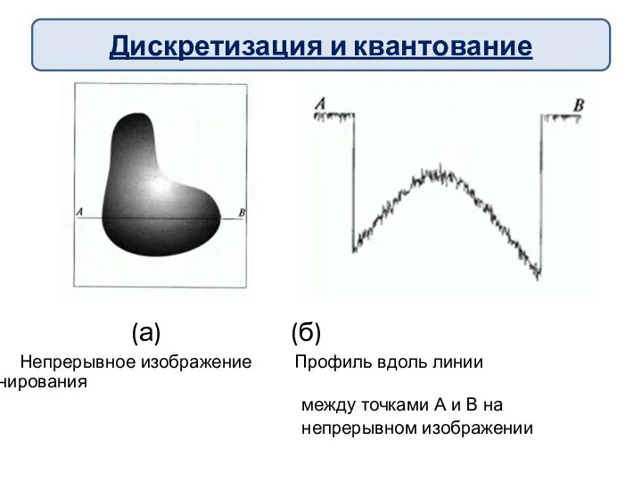 (а) (б) Непрерывное изображение Профиль вдоль линии сканирования между точками А
