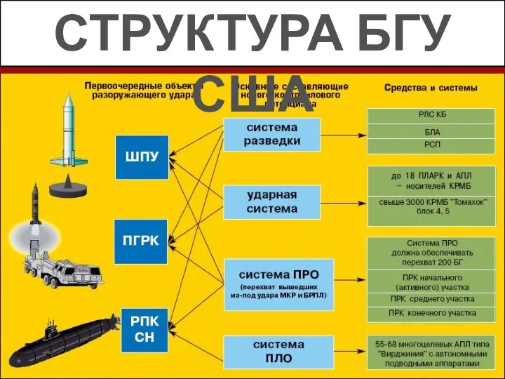 СТРУКТУРА БГУ США