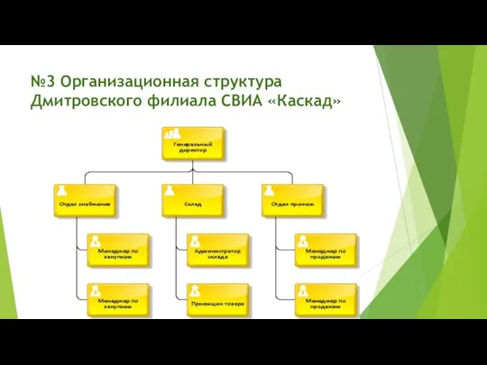 №3 Организационная структура Дмитровского филиала СВИА «Каскад»