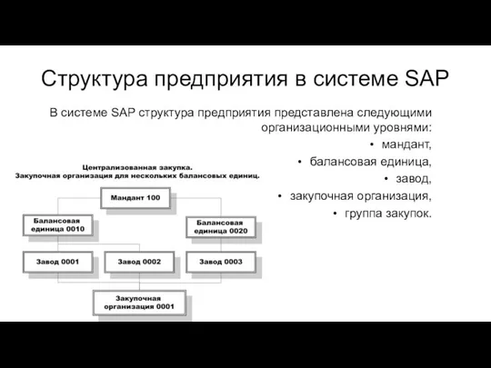 Структура предприятия в системе SAP В системе SAP структура предприятия представлена