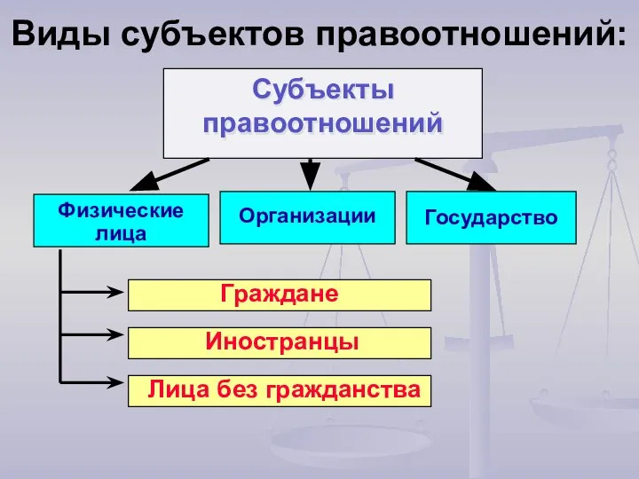 Виды субъектов правоотношений: Субъекты правоотношений Организации Государство