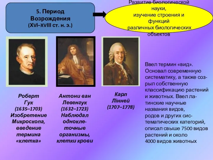 5. Период Возрождения (ХVІ–XVІІІ ст. н. э.) Развитие биологической науки, изучение