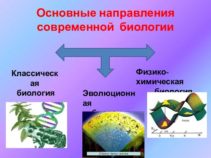 Основные направления современной биологии Классическая биология Эволюционная биология Физико-химическая биология