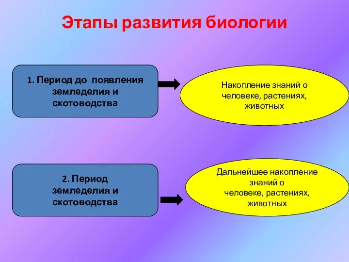 Этапы развития биологии 1. Период до появления земледелия и скотоводства Накопление