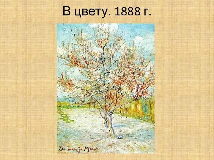 В цвету. 1888 г.