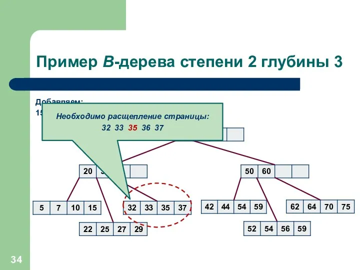 Пример B-дерева степени 2 глубины 3 Добавляем: 15, 27, 36, 39,