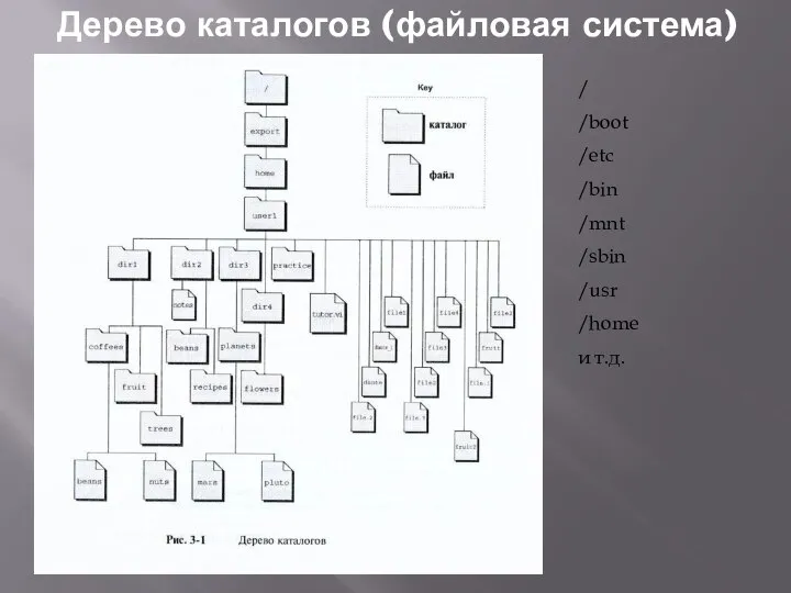 Дерево каталогов (файловая система) / /boot /etc /bin /mnt /sbin /usr /home и т.д.