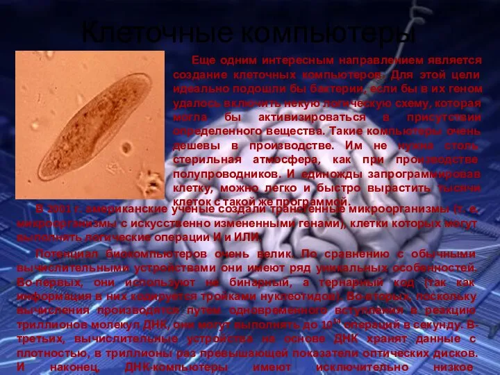 Клеточные компьютеры В 2001 г. американские ученые создали трансгенные микроорганизмы (т.