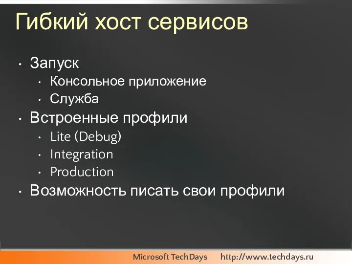 Гибкий хост сервисов Запуск Консольное приложение Служба Встроенные профили Lite (Debug)