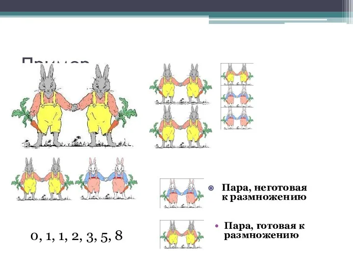 Пример Пара, готовая к размножению 0, 1, 1, 2, 3, 5, 8 Пара, неготовая к размножению