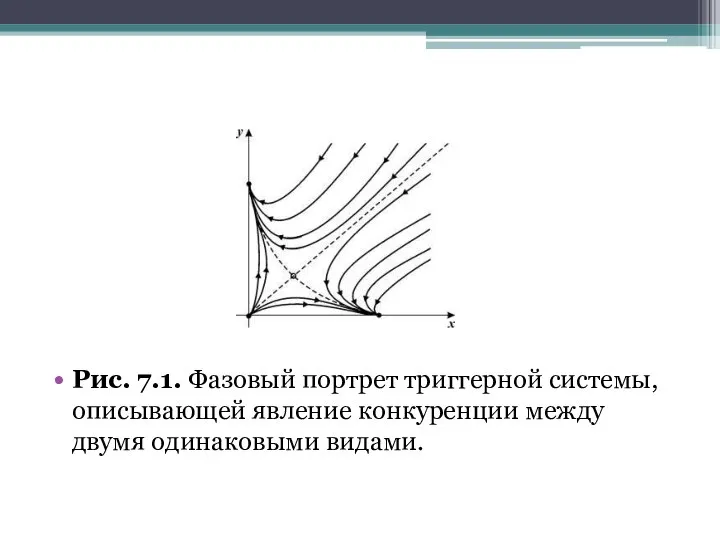 Рис. 7.1. Фазовый портрет триггерной системы, описывающей явление конкуренции между двумя одинаковыми видами.