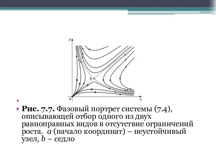 Рис. 7.7. Фазовый портрет системы (7.4), описывающей отбор одного из двух