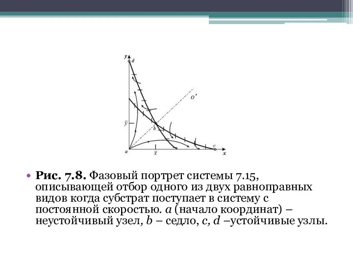 Рис. 7.8. Фазовый портрет системы 7.15, описывающей отбор одного из двух