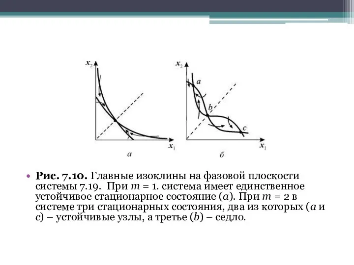 Рис. 7.10. Главные изоклины на фазовой плоскости системы 7.19. При m