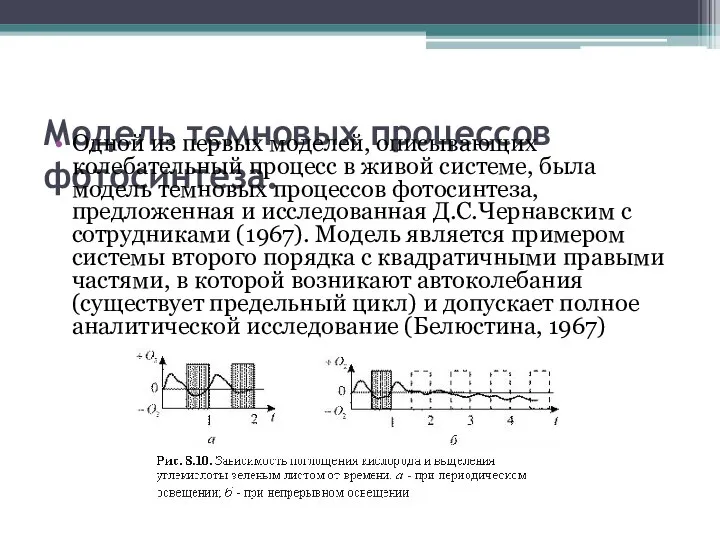 Модель темновых процессов фотосинтеза. Одной из первых моделей, описывающих колебательный процесс