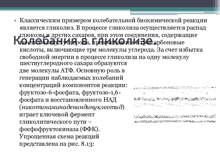 Колебания в гликолизе. Классическим примером колебательной биохимической реакции является гликолиз. В