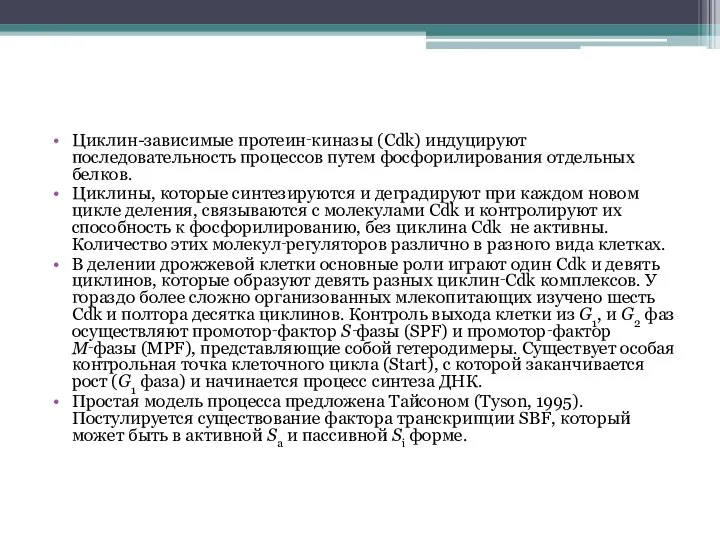 Циклин-зависимые протеин‑киназы (Cdk) индуцируют последовательность процессов путем фосфорилирования отдельных белков. Циклины,