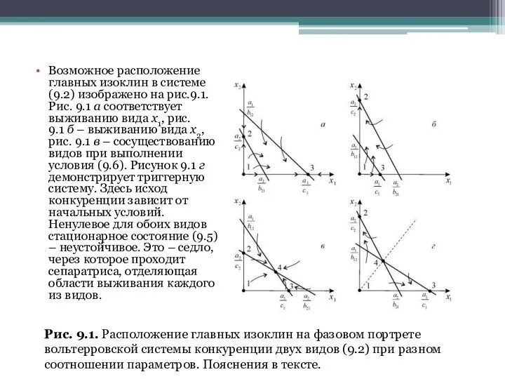 Возможное расположение главных изоклин в системе (9.2) изображено на рис.9.1. Рис.