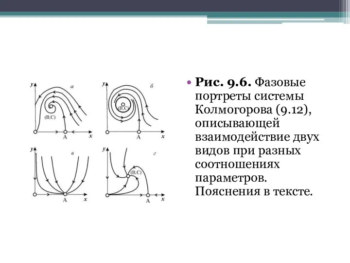 Рис. 9.6. Фазовые портреты системы Колмогорова (9.12), описывающей взаимодействие двух видов