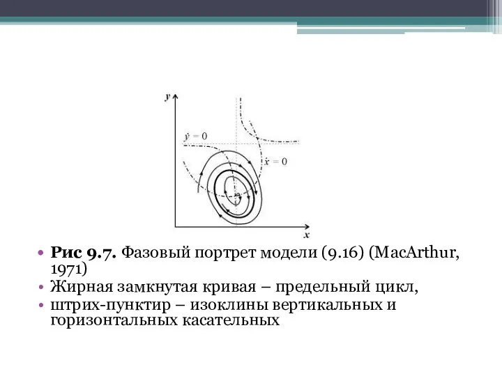 Рис 9.7. Фазовый портрет модели (9.16) (MacArthur, 1971) Жирная замкнутая кривая