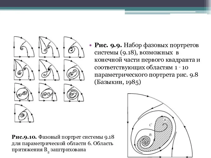 Рис. 9.9. Набор фазовых портретов системы (9.18), возможных в конечной части