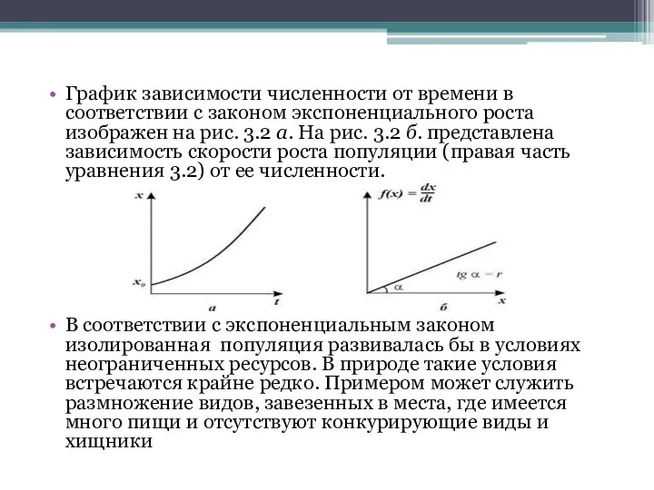 График зависимости численности от времени в соответствии с законом экспоненциального роста